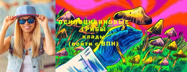 МДПВ Армянск