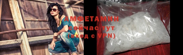 шишки Арсеньев