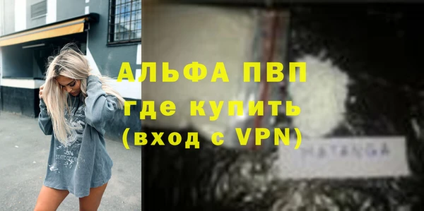 шишки Арсеньев