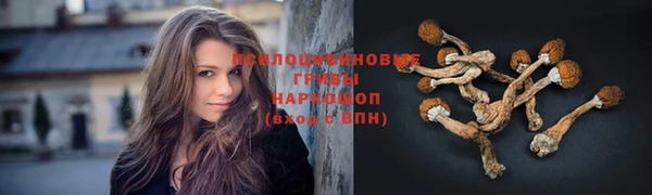 шишки Арсеньев