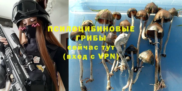 МДПВ Армянск