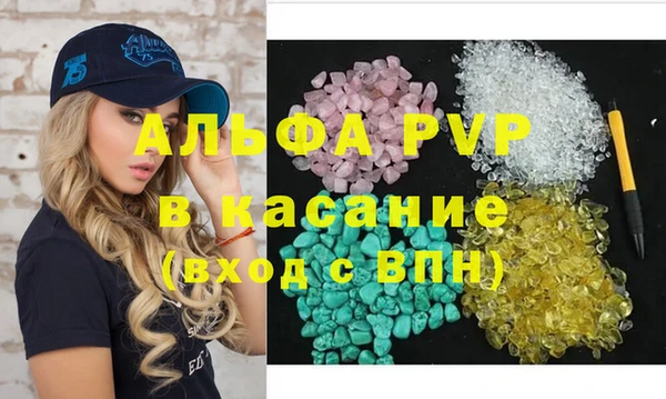 шишки Арсеньев
