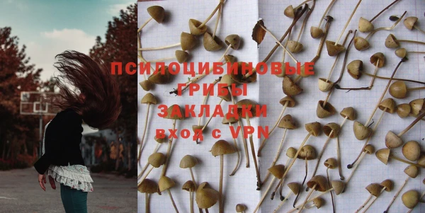 шишки Арсеньев