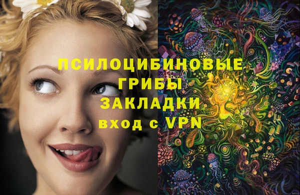 шишки Арсеньев