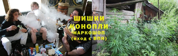 шишки Арсеньев