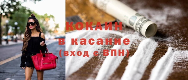шишки Арсеньев